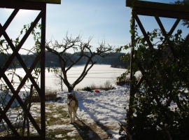 Widok z kuchni na jezioro zimą.